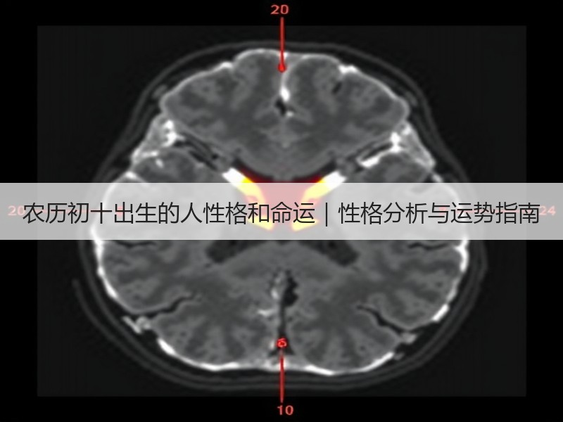 农历初十出生的人性格和命运｜性格分析与运势指南