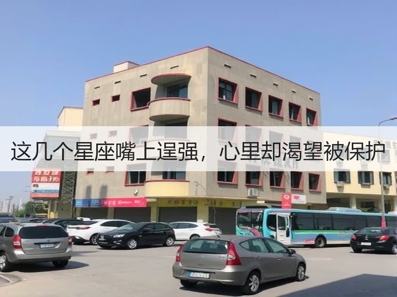 这几个星座嘴上逞强，心里却渴望被保护