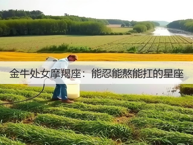 金牛处女摩羯座:能忍能熬能扛的星座(图1) 金牛处女摩羯座:能忍能熬能扛的星座(图1)