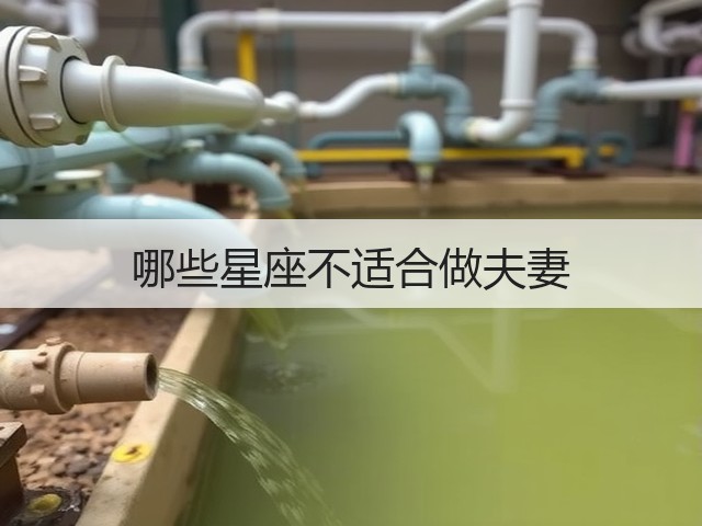 哪些星座不适合做夫妻(图3) 哪些星座不适合做夫妻(图3)