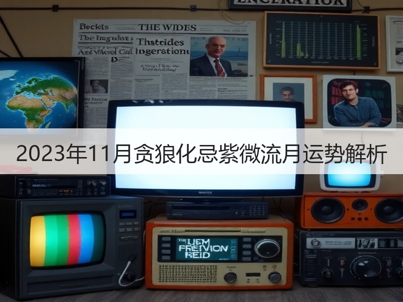 2023年11月贪狼化忌紫微流月运势解析
