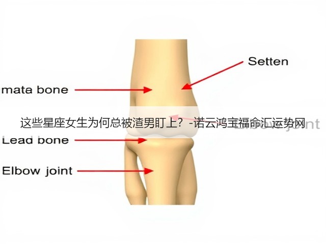 这些星座女生为何总被渣男盯上？-诺云鸿宝福命汇运势网(图3)