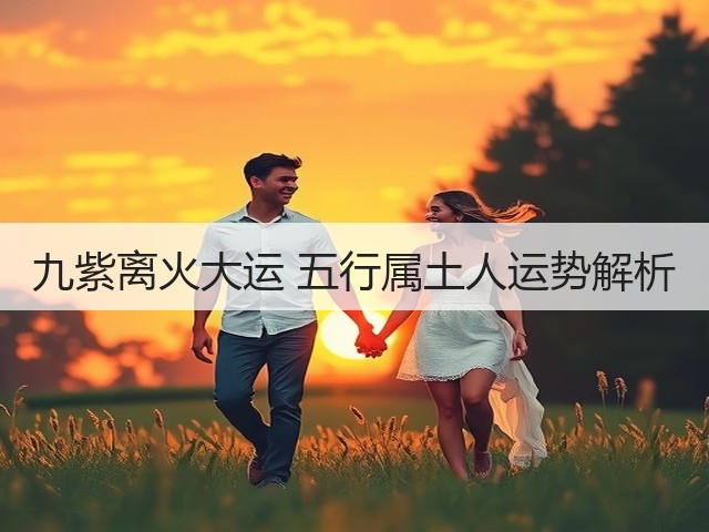 九紫离火大运 五行属土人运势解析(图1)