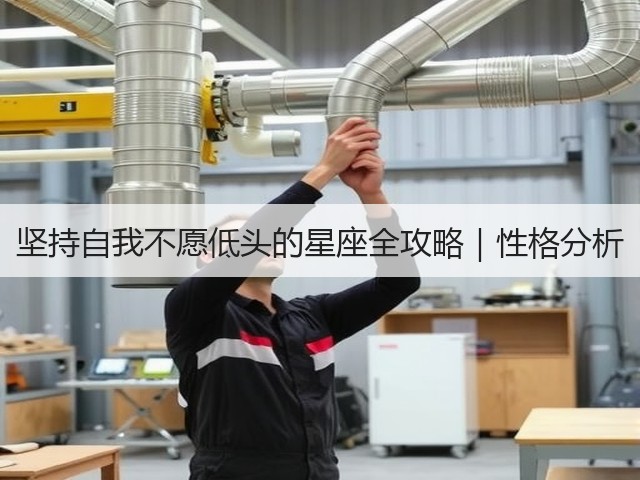 坚持自我不愿低头的星座全攻略|性格分析(图3) 坚持自我不愿低头的星座全攻略|性格分析(图3)