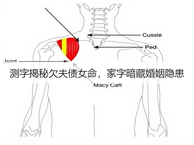 测字揭秘欠夫债女命，家字暗藏婚姻隐患(图3)