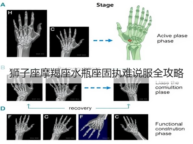 狮子座摩羯座水瓶座固执难说服全攻略(图3)