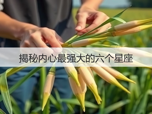 揭秘内心最强大的六个星座(图1)