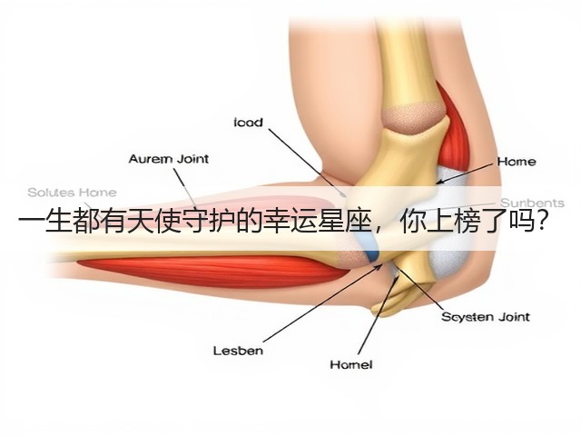 一生都有天使守护的幸运星座,你上榜了吗?(图2) 一生都有天使守护的幸运星座,你上榜了吗?(图2)