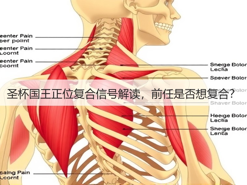 圣杯国王正位复合信号解读，前任是否想复合？