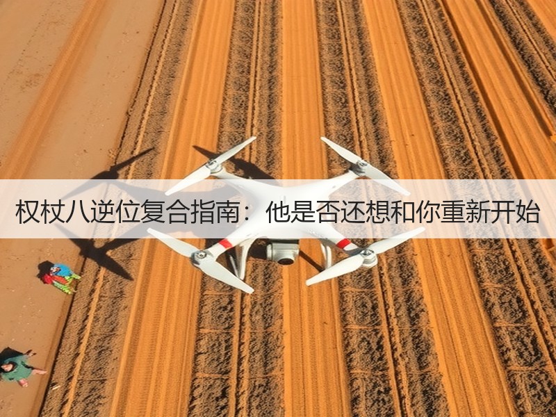 权杖八逆位复合指南：他是否还想和你重新开始