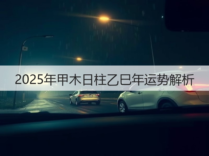 2025年甲木日柱乙巳年运势解析