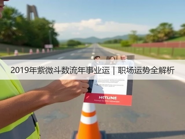 2019年紫微斗数流年事业运｜职场运势全解析(图1)
