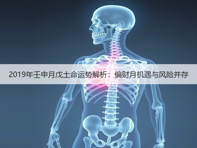 2019年壬申月戊土命运势解析:偏财月机遇与风险并存(图3) 2019年壬申月戊土命运势解析:偏财月机遇与风险并存(图3)