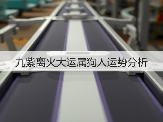 九紫离火大运属狗人运势分析(图3)