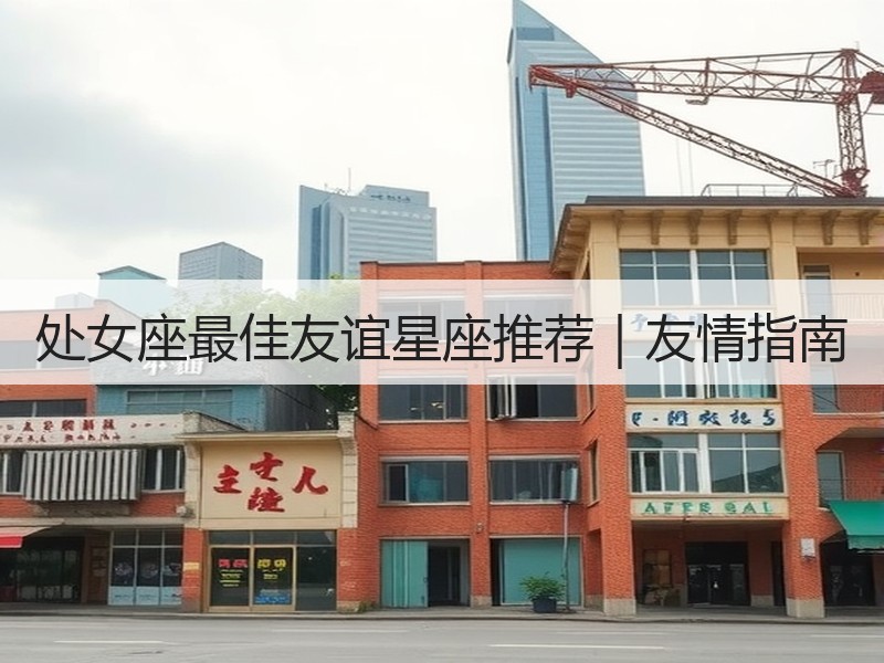 处女座最佳友谊星座推荐｜友情指南