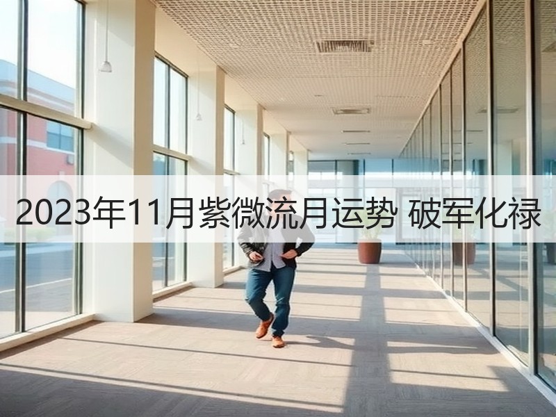 2023年11月紫微流月运势 破军化禄