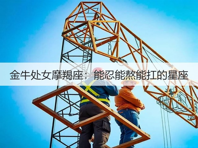 金牛处女摩羯座:能忍能熬能扛的星座(图3) 金牛处女摩羯座:能忍能熬能扛的星座(图3)