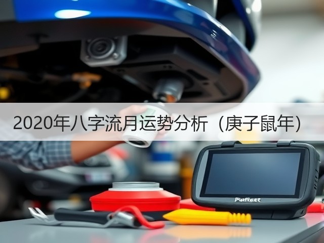 2020年八字流月运势分析(庚子鼠年)(图3) 2020年八字流月运势分析(庚子鼠年)(图3)