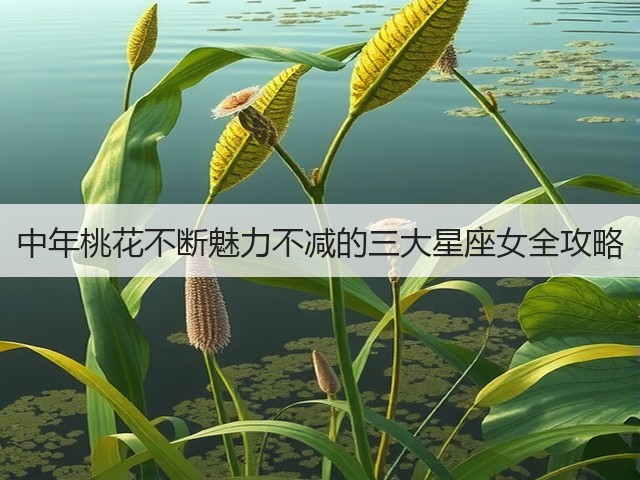 中年桃花不断魅力不减的三大星座女全攻略(图2) 中年桃花不断魅力不减的三大星座女全攻略(图2)