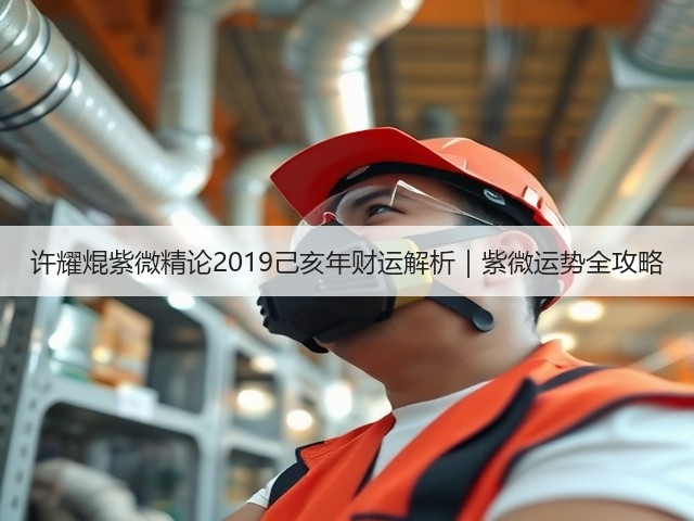 许耀焜紫微精论2019己亥年财运解析｜紫微运势全攻略(图1)