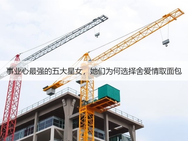 事业心最强的五大星女,她们为何选择舍爱情取面包(图2) 事业心最强的五大星女,她们为何选择舍爱情取面包(图2)