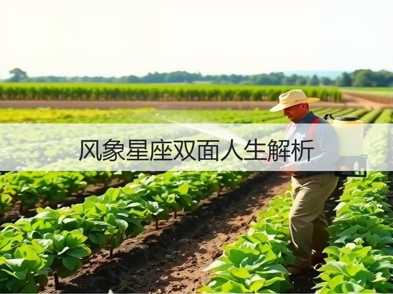 风象星座双面人生解析